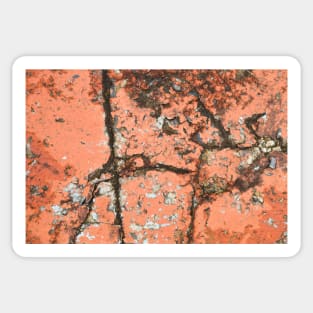 Old cracked painted texture Sticker